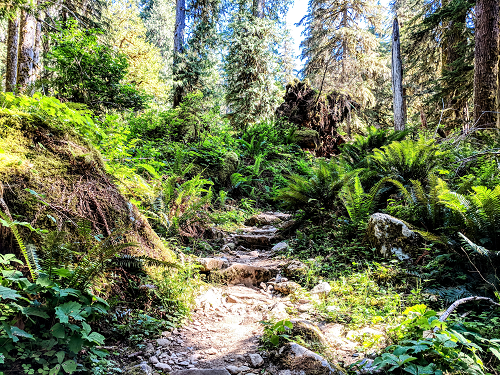 Olympic National Park